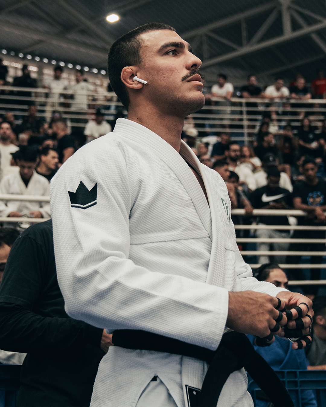 DAVI VETORACI
